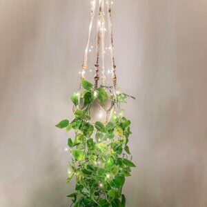Boho Chic Faux Hanging Pothos with Fairy Lights & Macrame Hanger Indoor Wall